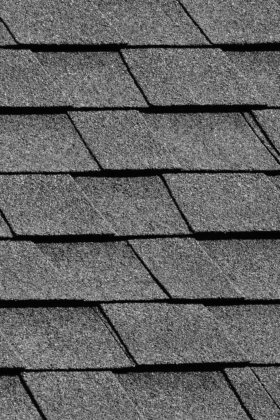 roof doc roof shingles close up